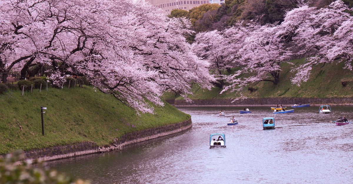 Sakura Season Japan The Best Places to Visit in Japan with Stunning